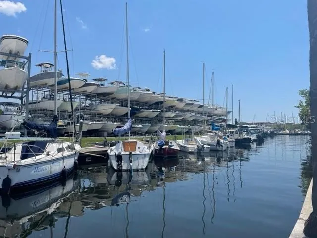 a view of a street with palm trees