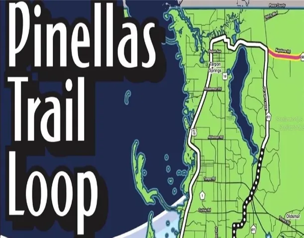 a view of a park with large trees