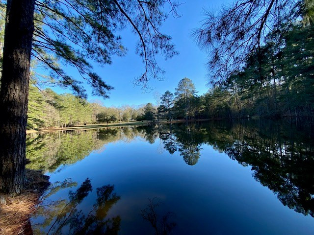 6113 Womack Road Summit, MS 39666 - Photo 2 of 54 Photo 2