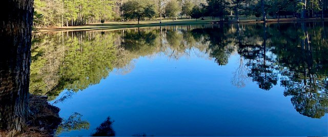 6113 Womack Road Summit, MS 39666 - Photo 23 of 54 Photo 23