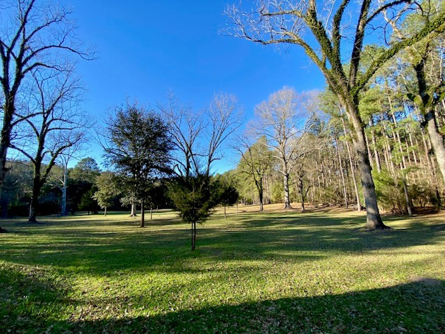 6113 Womack Road Summit, MS 39666 - Photo 24 of 54 Photo 24