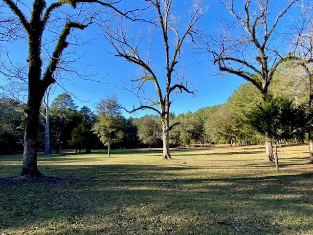 6113 Womack Road Summit, MS 39666 - Photo 25 of 54 Photo 25