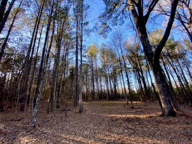 6113 Womack Road Summit, MS 39666 - Photo 31 of 54 Photo 31