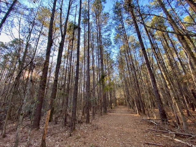 6113 Womack Road Summit, MS 39666 - Photo 34 of 54 Photo 34