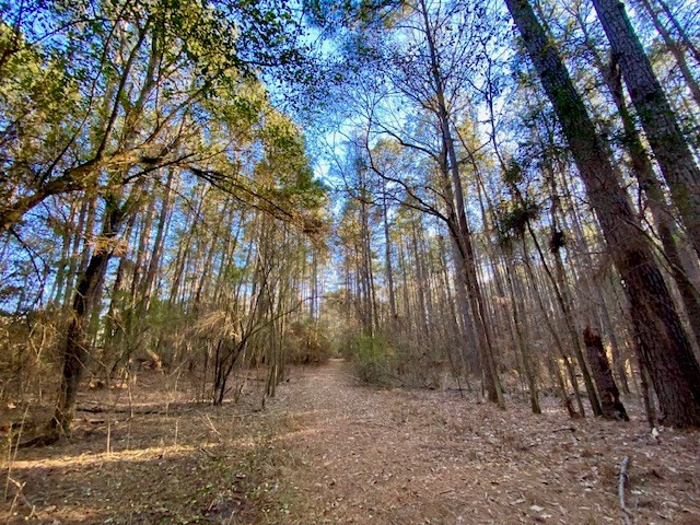 6113 Womack Road Summit, MS 39666 - Photo 35 of 54 Photo 35