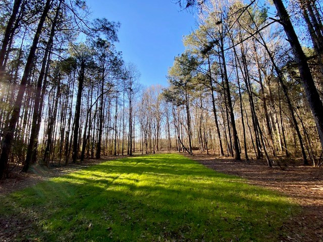 6113 Womack Road Summit, MS 39666 - Photo 36 of 54 Photo 36