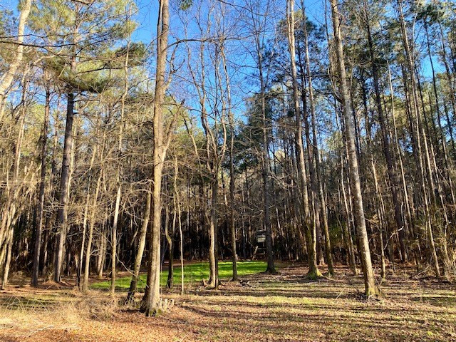6113 Womack Road Summit, MS 39666 - Photo 37 of 54 Photo 37