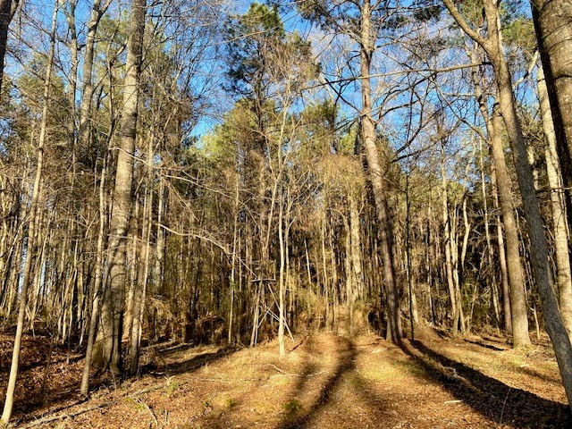 6113 Womack Road Summit, MS 39666 - Photo 38 of 54 Photo 38