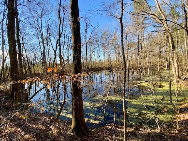 6113 Womack Road Summit, MS 39666 - Photo 39 of 54 Photo 39