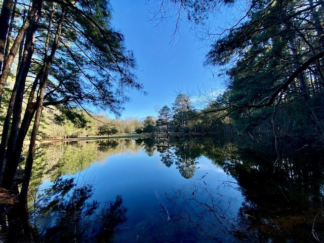 6113 Womack Road Summit, MS 39666 - Photo 40 of 54 Photo 40