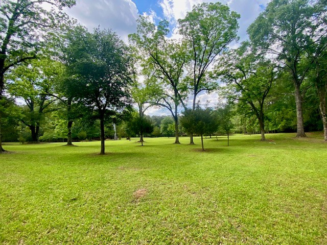 6113 Womack Road Summit, MS 39666 - Photo 4 of 54 Photo 4
