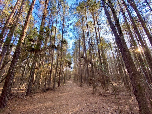 6113 Womack Road Summit, MS 39666 - Photo 41 of 54 Photo 41