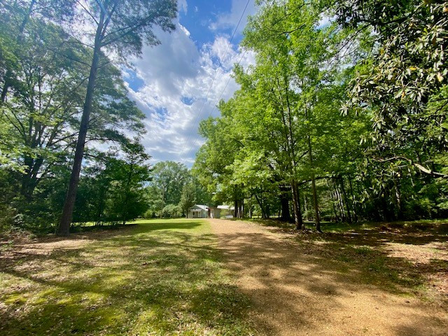 6113 Womack Road Summit, MS 39666 - Photo 43 of 54 Photo 43