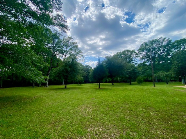 6113 Womack Road Summit, MS 39666 - Photo 44 of 54 Photo 44