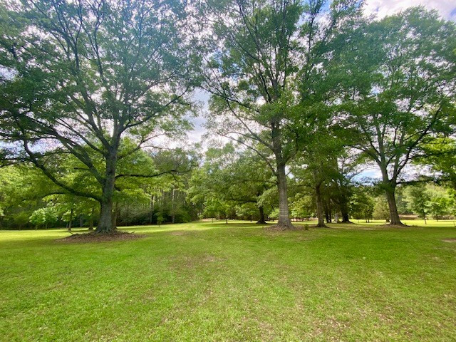 6113 Womack Road Summit, MS 39666 - Photo 48 of 54 Photo 48