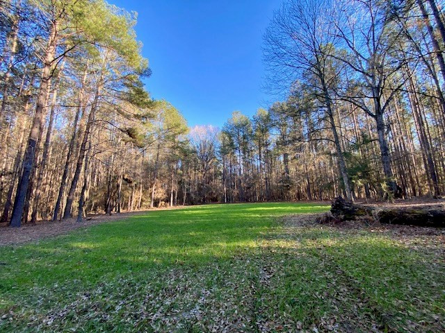 6113 Womack Road Summit, MS 39666 - Photo 5 of 54 Photo 5