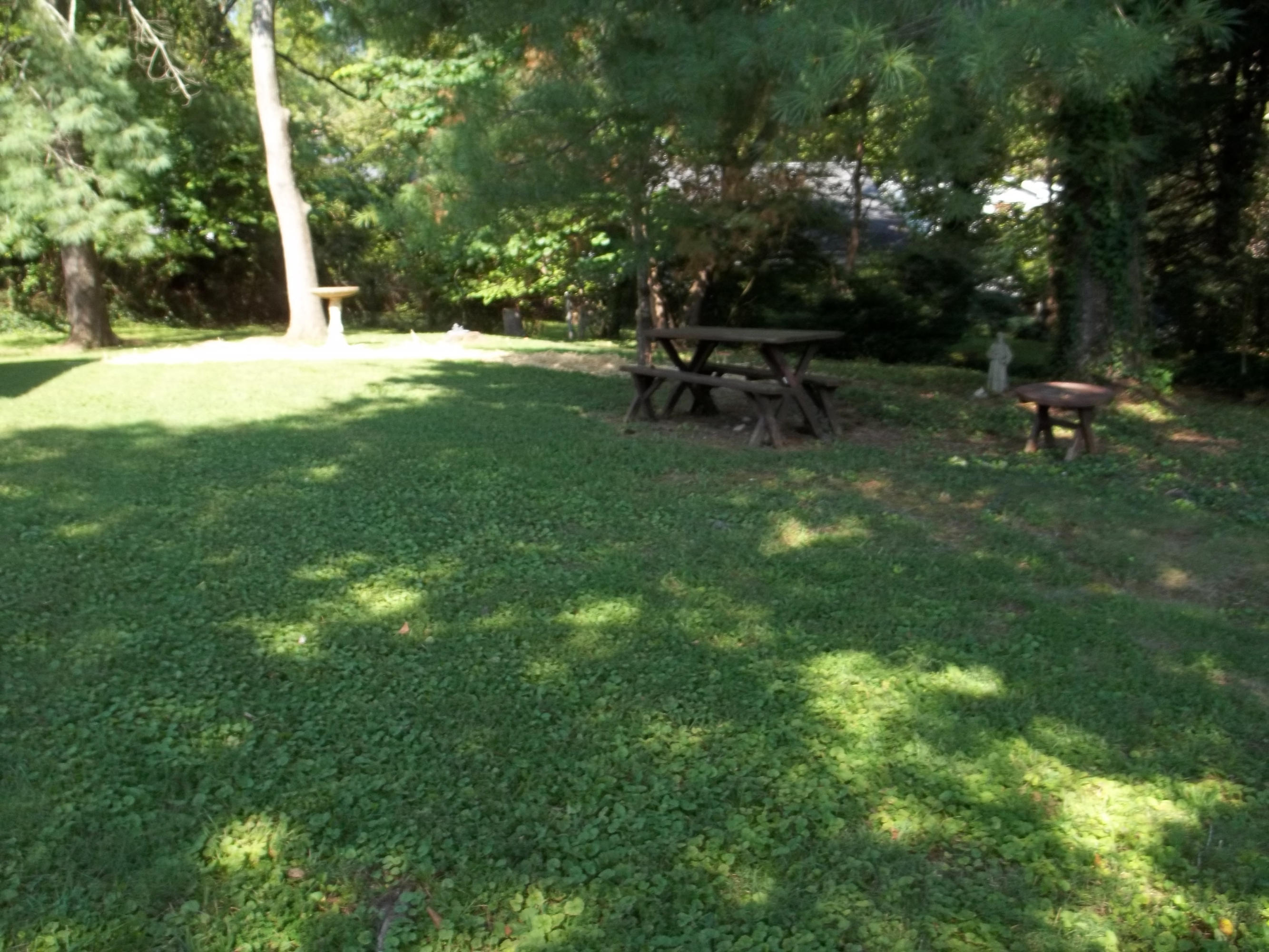 102 Powell Road Oak Ridge, TN 37830 - Photo 5 of 13 100_4387