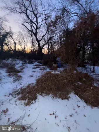 a view of dirt yard with a large tree