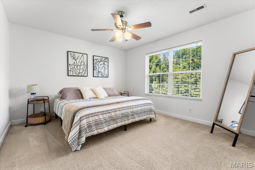 401 Windsor Forrest Road O'Fallon, IL 62269 - Photo 27 of 54 Gallery Image 27