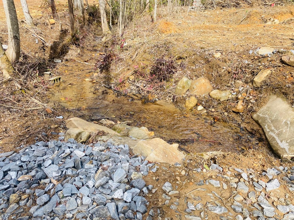 0 Flea Mountain Road Murphy, NC 28906 - Photo 24 of 54
