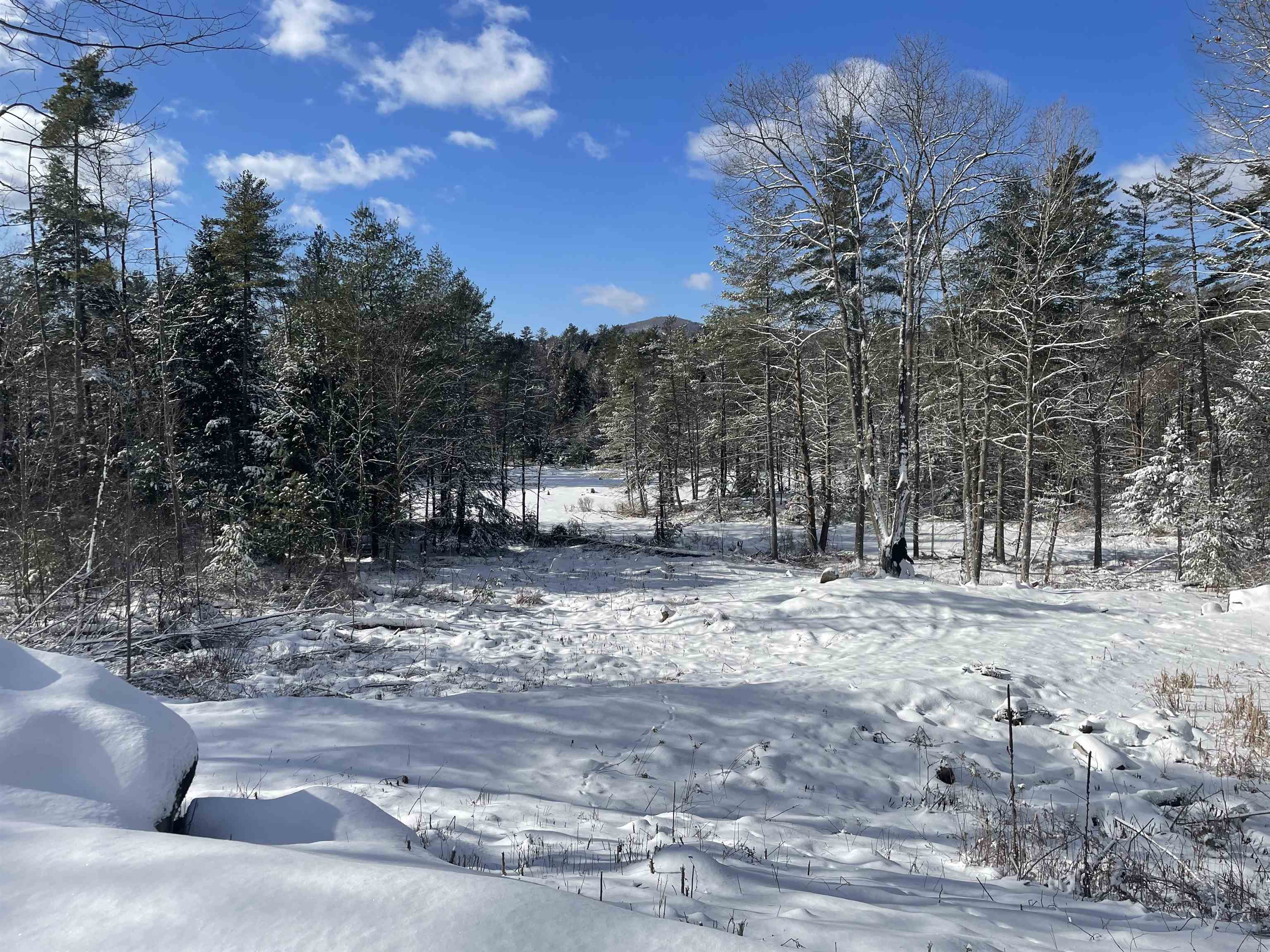 1324 Plains Rd Fork; Weathersfield, VT 05151 - Photo 50 of 51