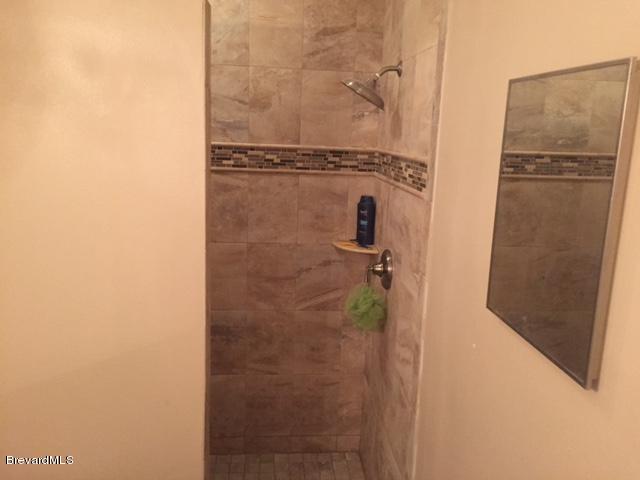 443 Tilhal Road Southwest Palm Bay, FL 32908 - Photo 15 of 18 Master Shower