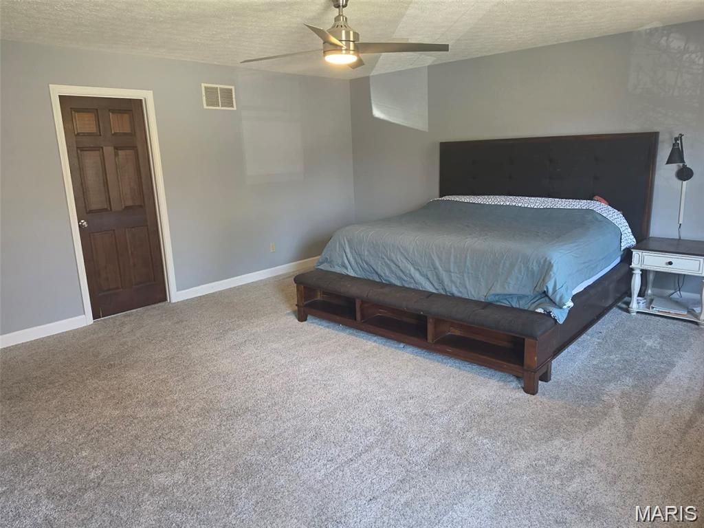 1993 Mapleleaf Drive Collinsville, IL 62234 - Photo 9 of 21