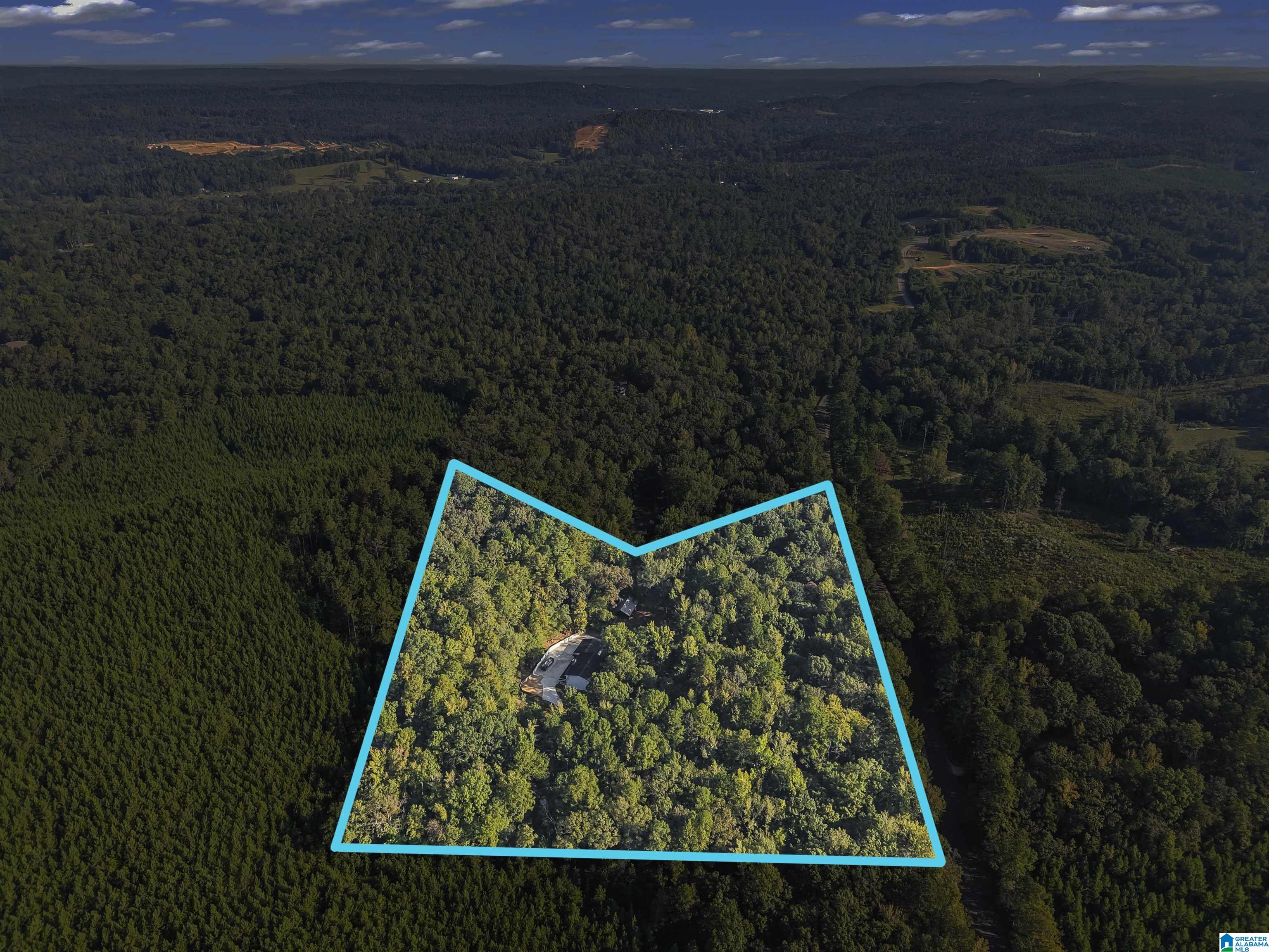 5557 Dry Creek Road Pell City, AL 35128 - Photo 47 of 52