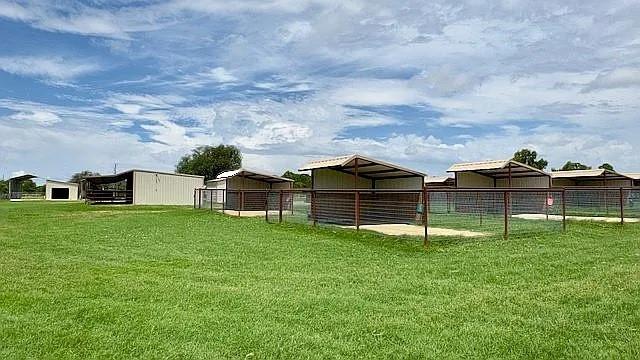 8850 Old Agnes Road Poolville, TX 76487 - Photo 21 of 34 8 stall/runs with lean tos