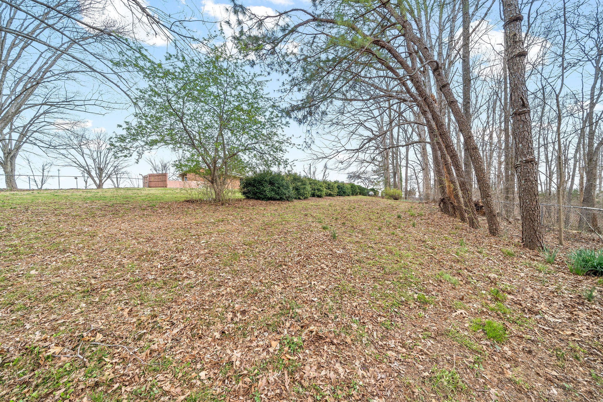 1075 Batson Mill Road Charlotte, TN 37036 - Photo 35 of 43 a view of backyard with large trees
