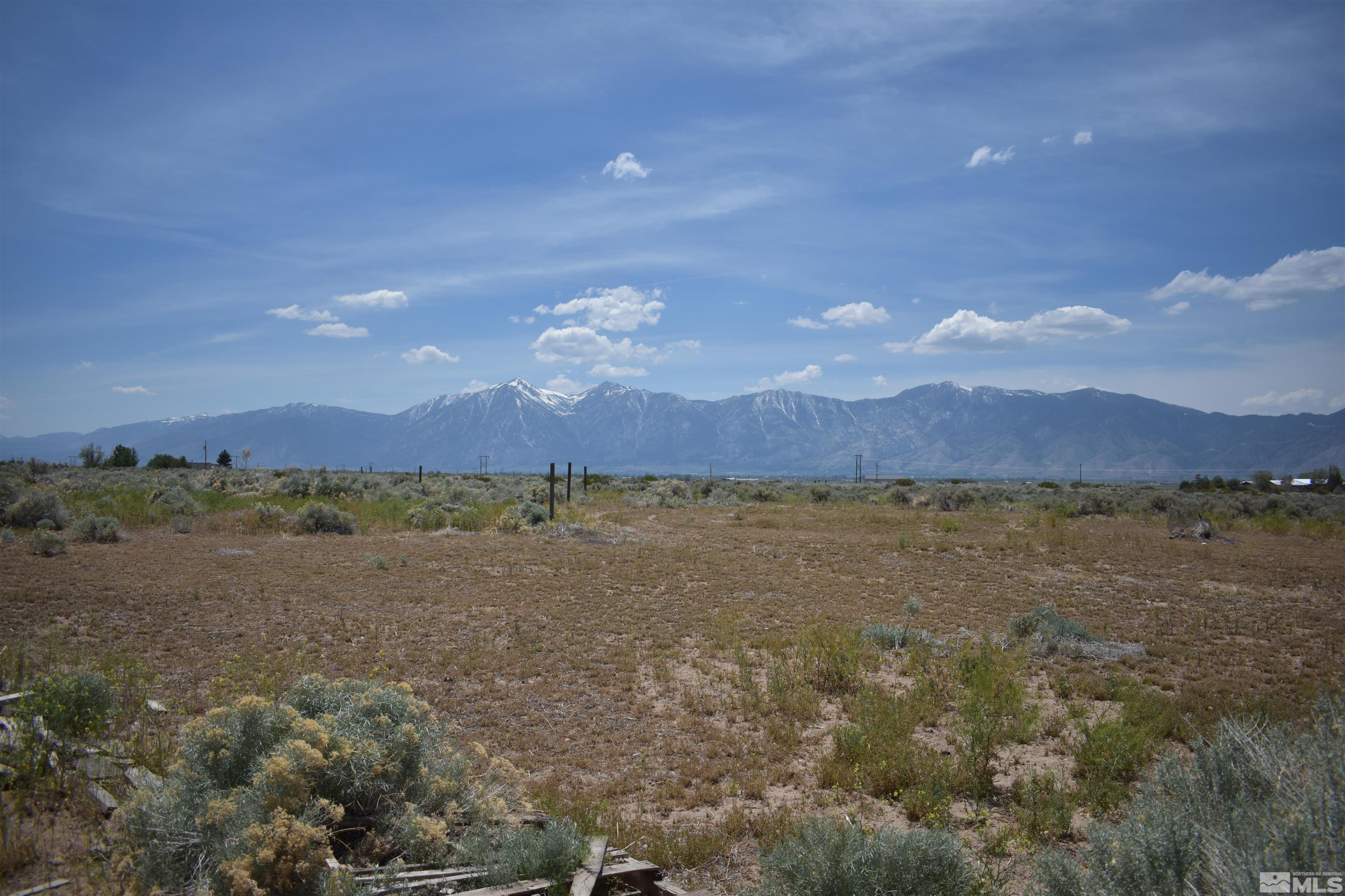 1737 Dee Jay Lane Minden, NV 89423 - Photo 3 of 40 a view of lake and mountain