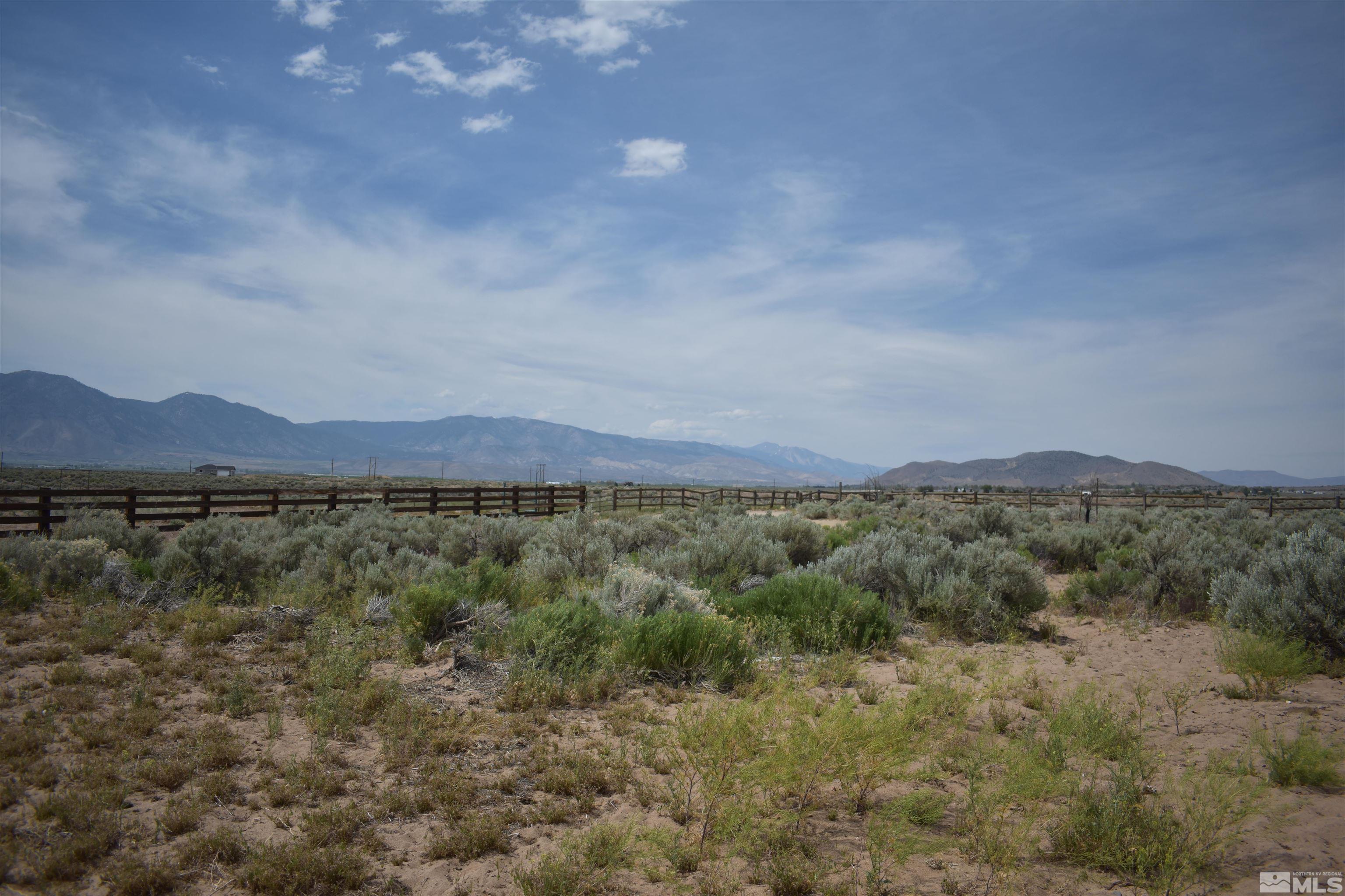 1737 Dee Jay Lane Minden, NV 89423 - Photo 38 of 40 a view of lake and mountain