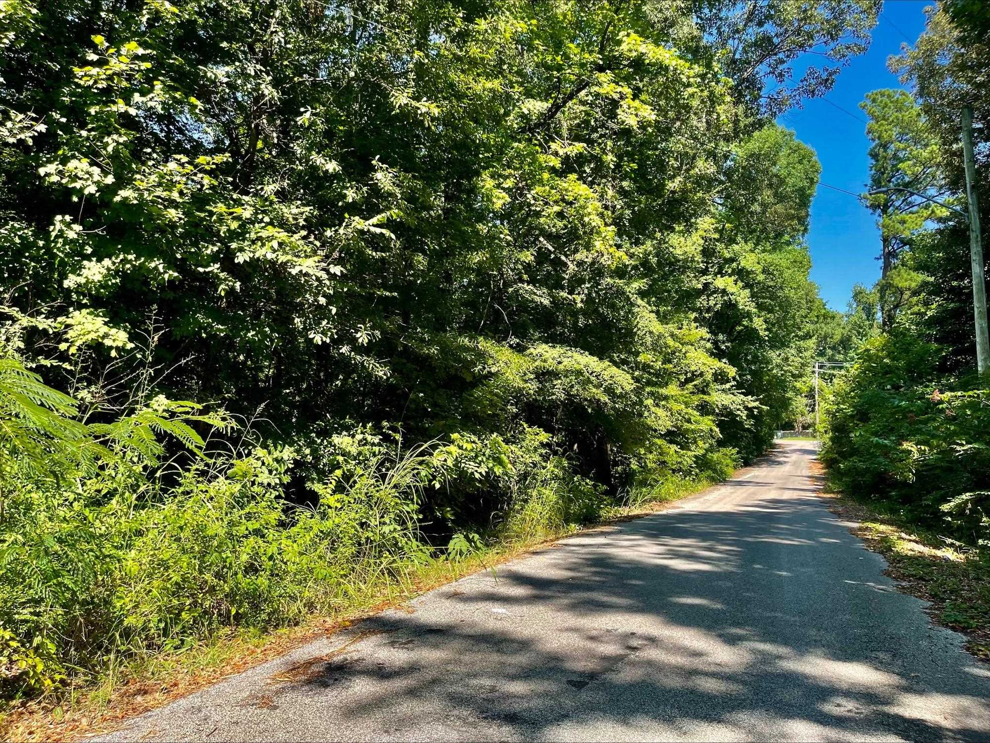 4785 Dodd Road Memphis, TN 38109 - Photo 2 of 4 a view of a street with a tree
