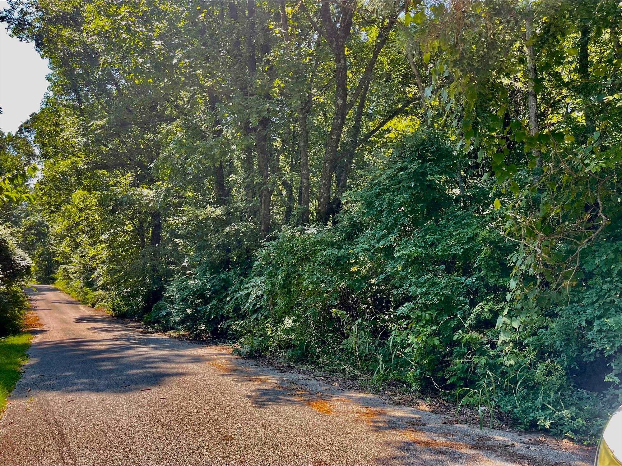 4785 Dodd Road Memphis, TN 38109 - Photo 3 of 4 a view of a yard with plants and trees