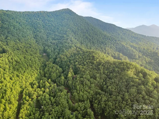 a view of a mountain range with lush green forest