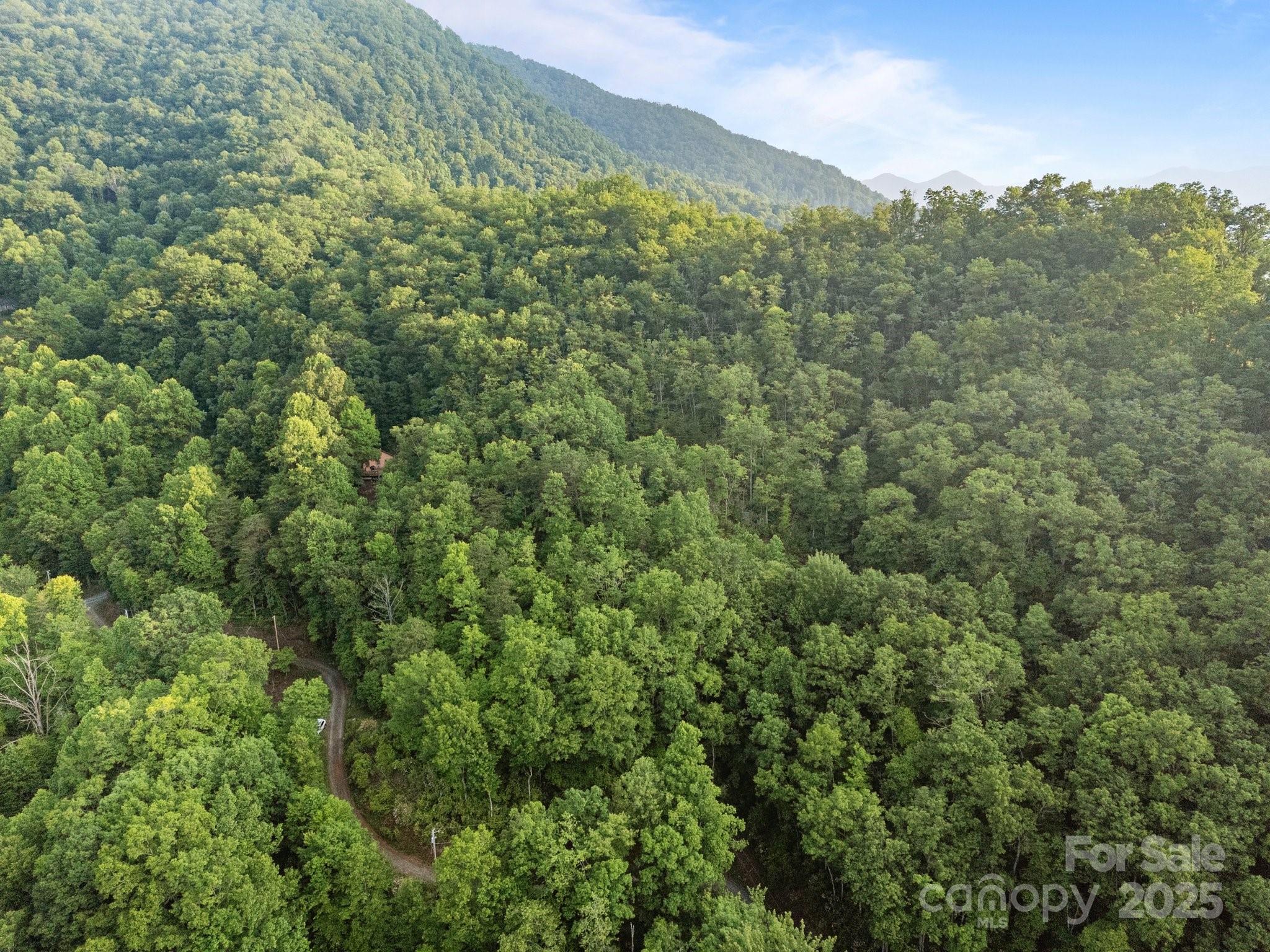 10 Turkey Trot Trail Sylva, NC 28779 - Photo 13 of 16 a view of a lush green forest with trees in the background