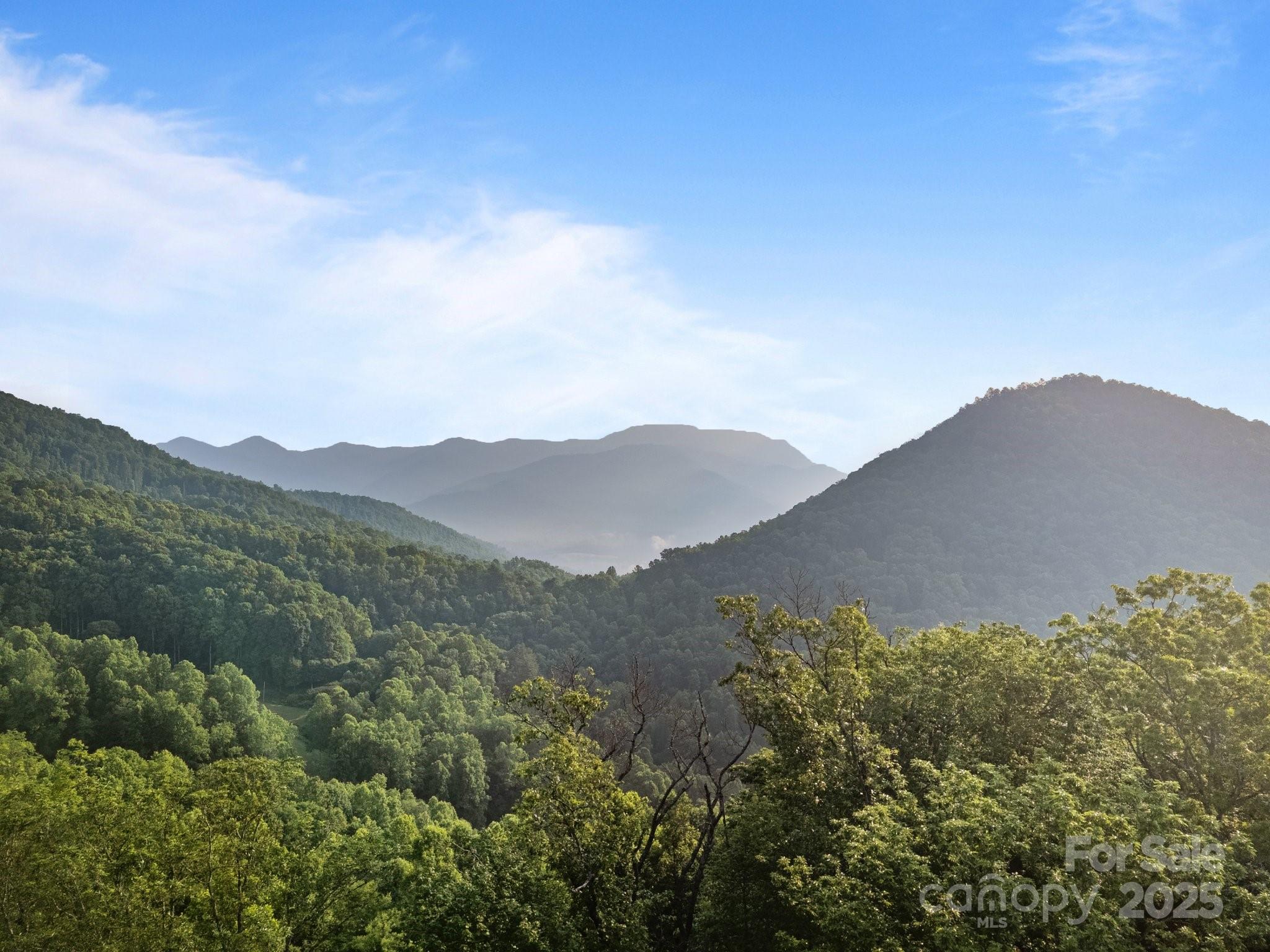 10 Turkey Trot Trail Sylva, NC 28779 - Photo 15 of 16 a view of a house with a mountain in the background