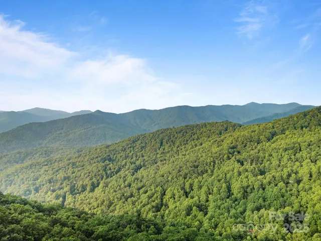 a view of a lush green field with a mountain in the background