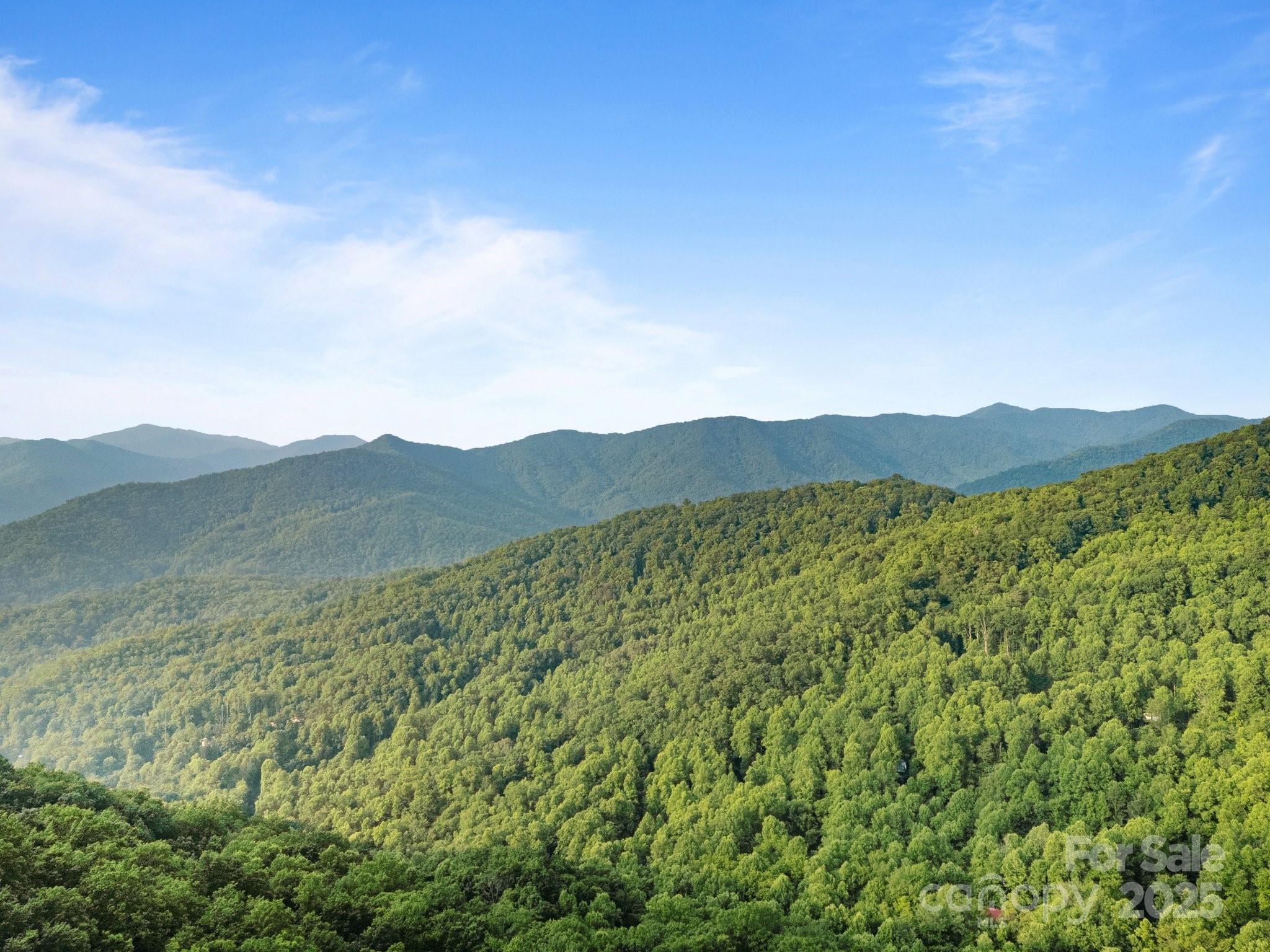 10 Turkey Trot Trail Sylva, NC 28779 - Photo 16 of 16 a view of a lush green field with a mountain in the background