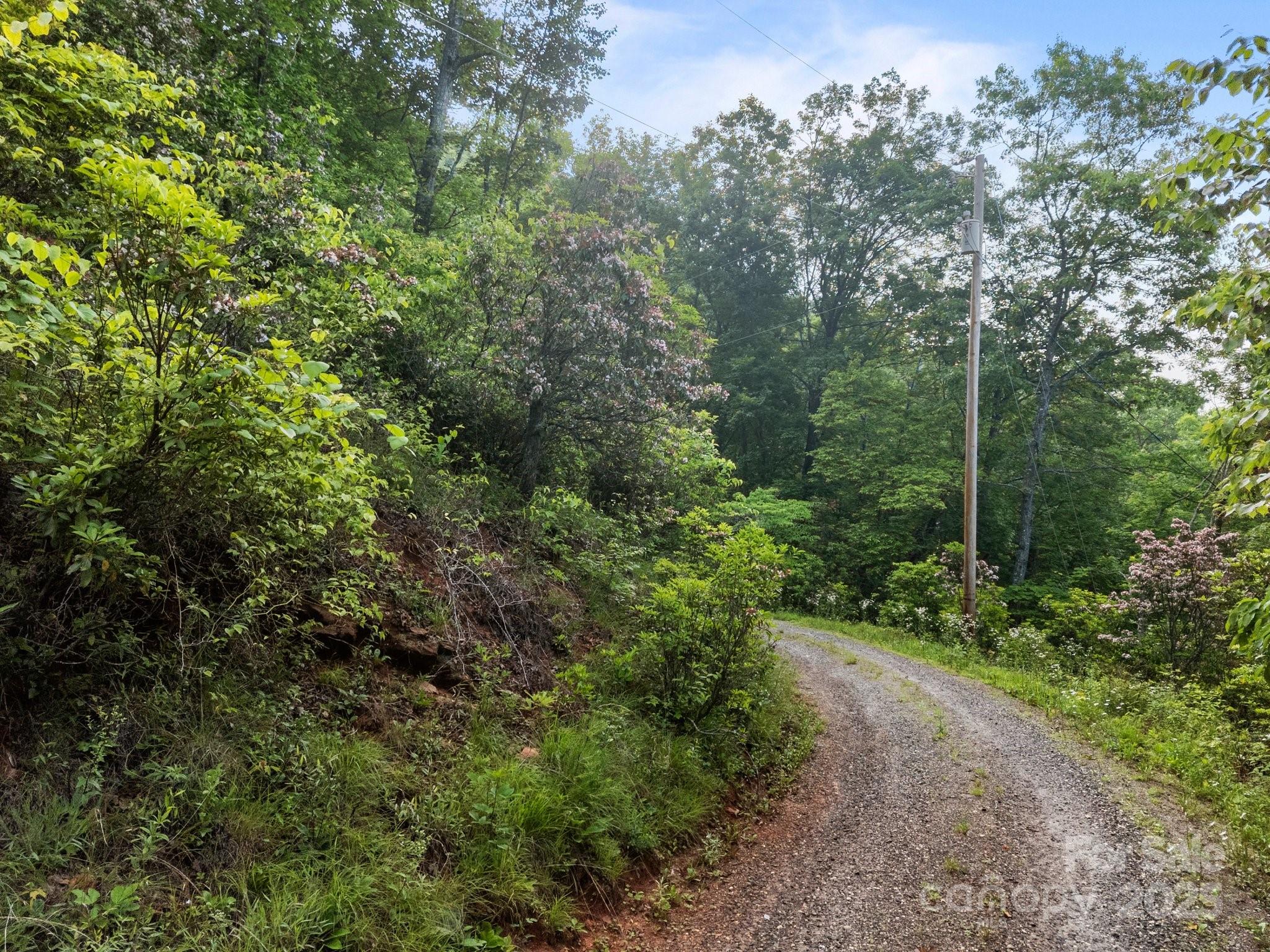 10 Turkey Trot Trail Sylva, NC 28779 - Photo 3 of 16 a view of a forest with trees in the background