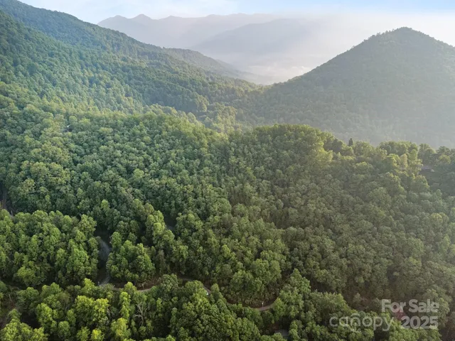 a view of a mountain range with lush green forest