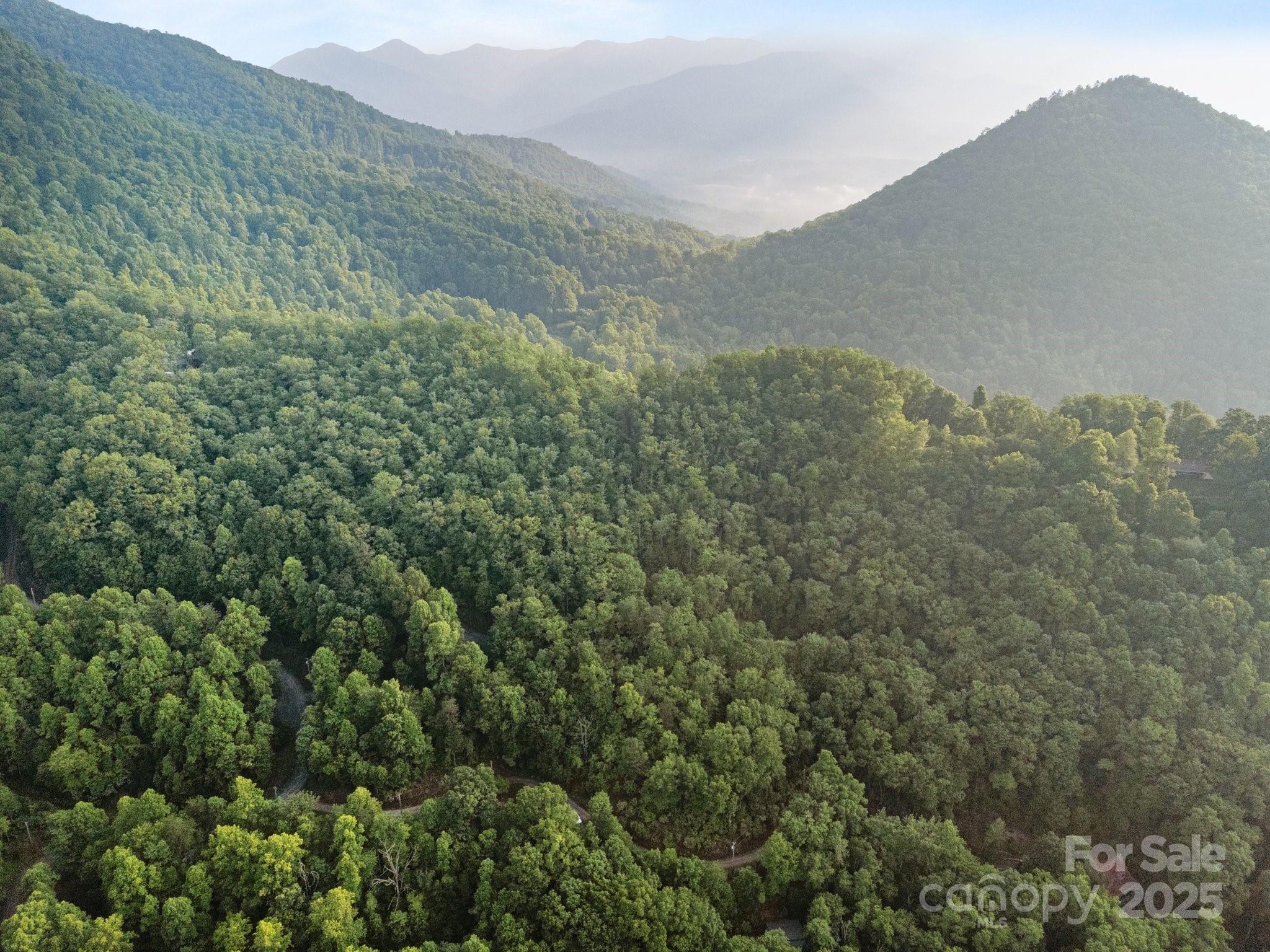 10 Turkey Trot Trail Sylva, NC 28779 - Photo 9 of 16 a view of a mountain range with lush green forest