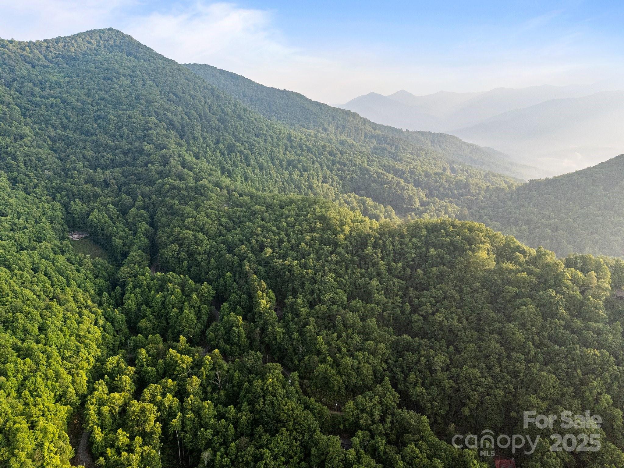 10 Turkey Trot Trail Sylva, NC 28779 - Photo 10 of 16 a view of a mountain range with trees in the background