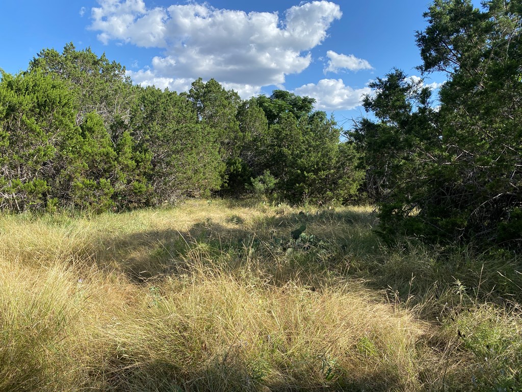 0 Old Rocksprings Road Leakey, TX 78873 - Photo 7 of 18