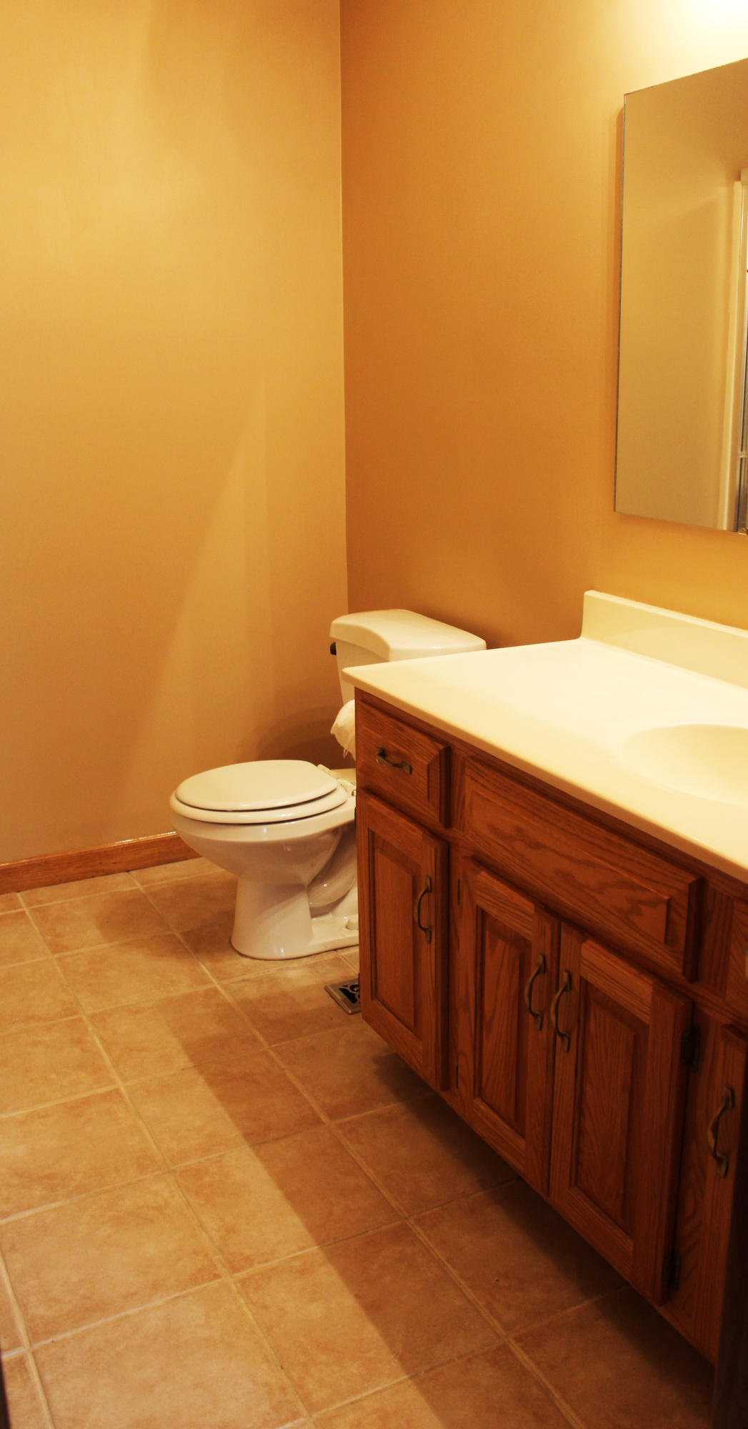 1249 Huffs Ferry Road Loudon, TN 37774 - Photo 15 of 20 IMG_1881 Bathrooms- tile floors