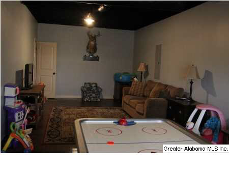 447 Ronny Lane Springville, AL 35146 - Photo 21 of 22