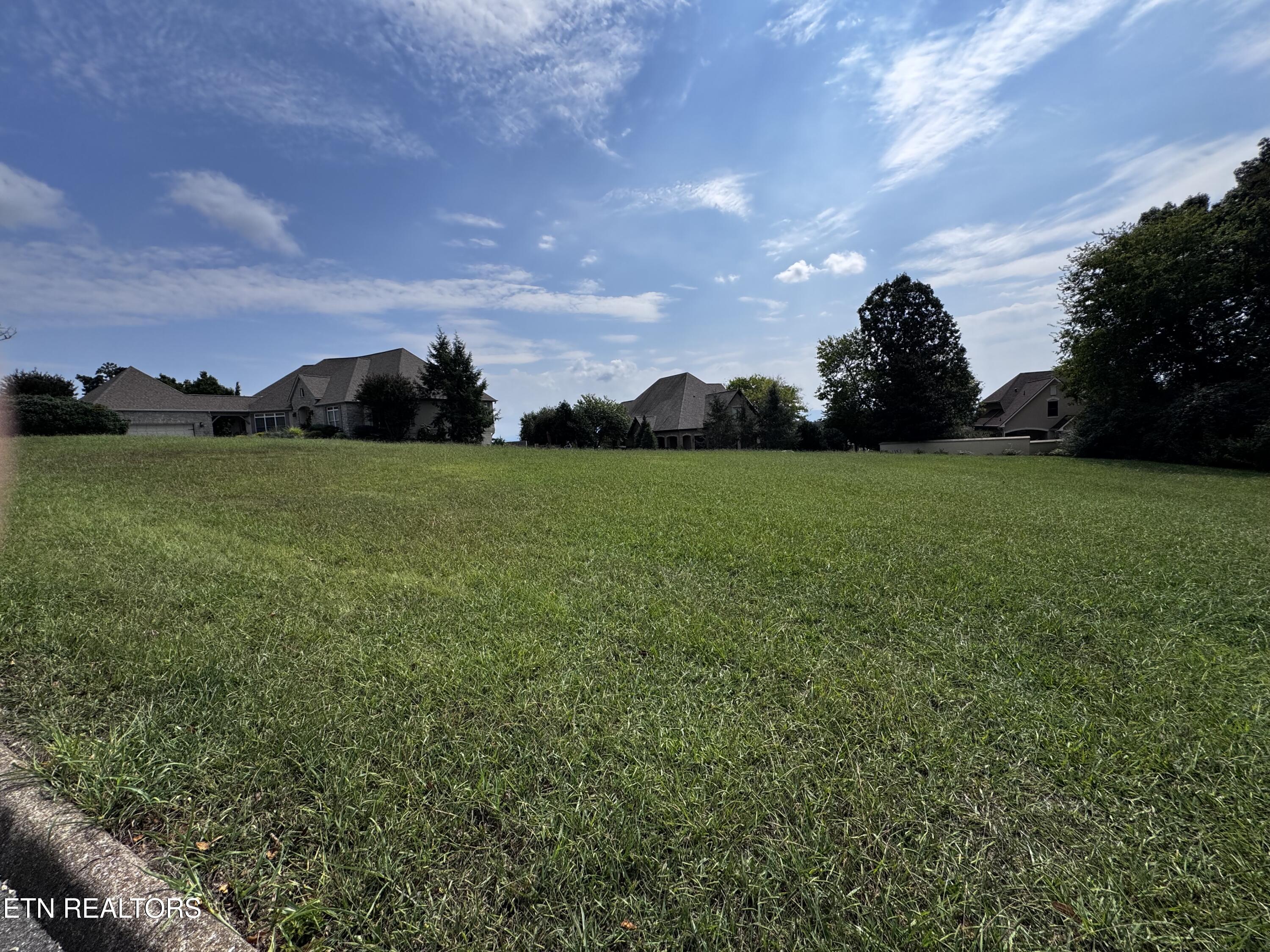 120 Gold Finch Lane Vonore, TN 37885 - Photo 4 of 17 IMG_9327
