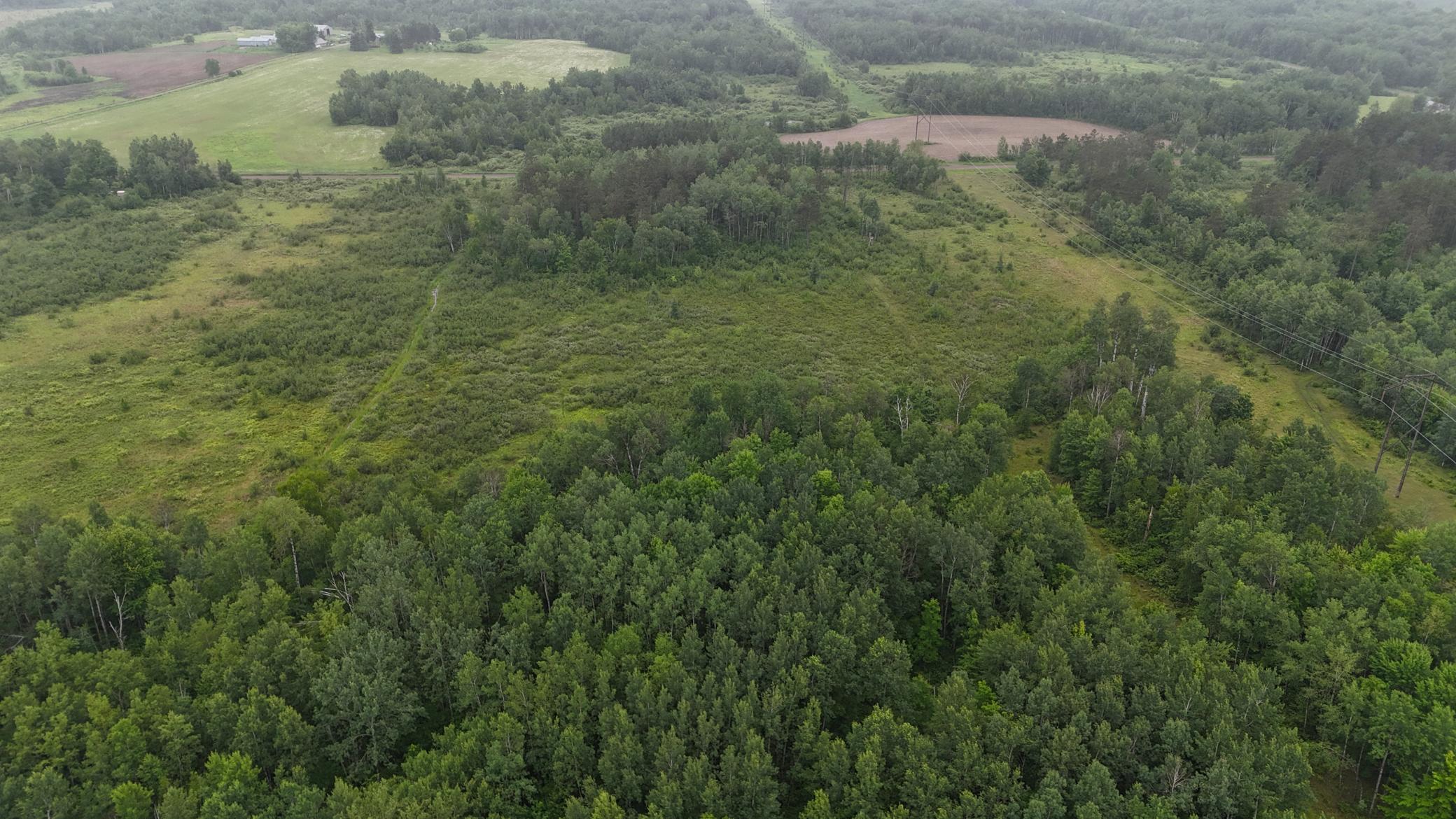 Tbd Klejeski Road Sandstone, MN 55072 - Photo 20 of 32