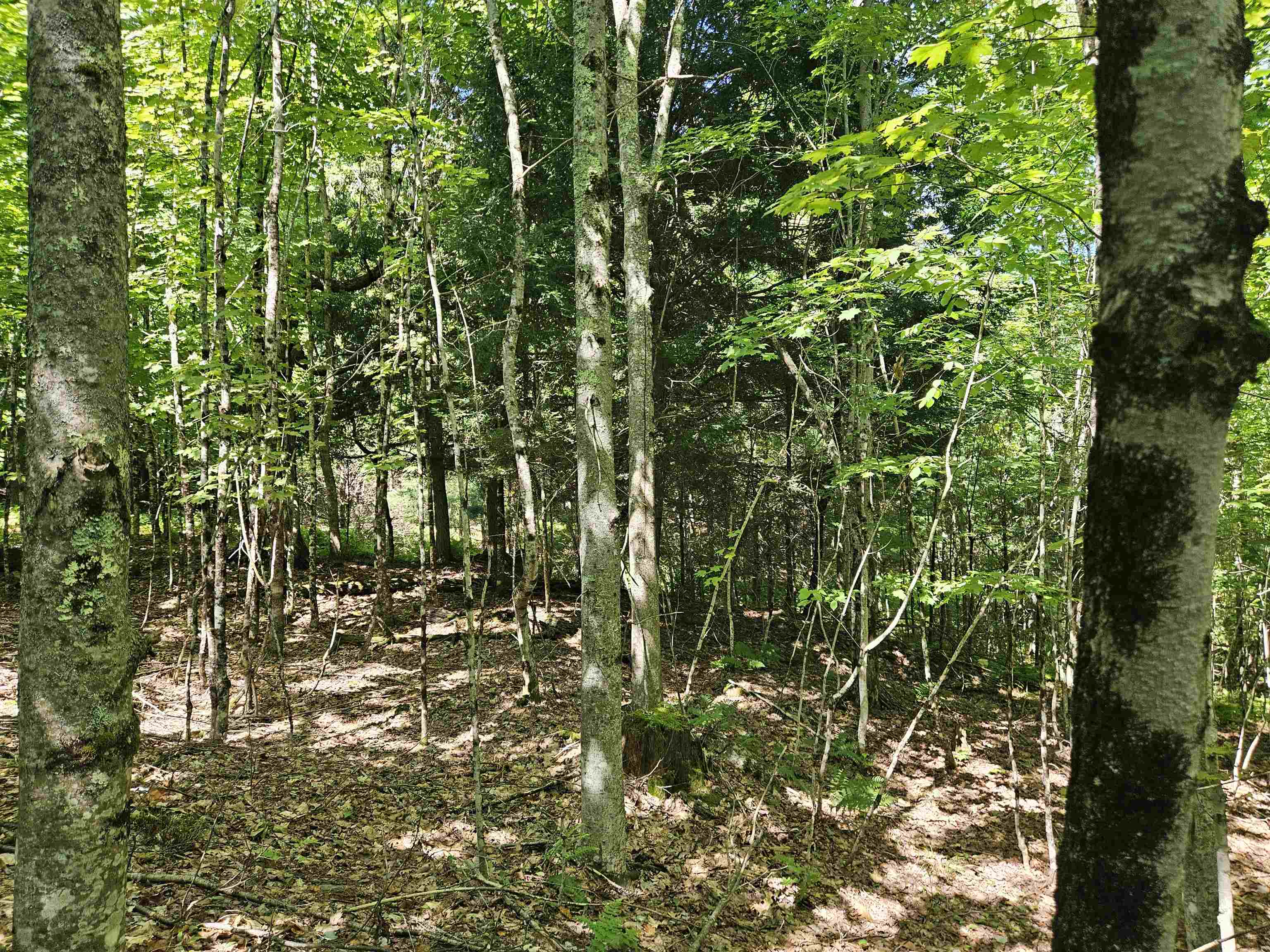Lot 3.3 Off Parker Road Lisbon, NH 03585 - Photo 7 of 20