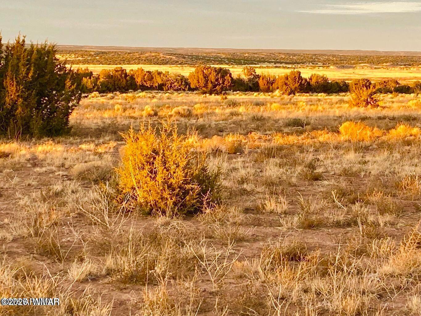 St-johns Az 85936 Ranch St. Johns, AZ 85936 - Photo 18 of 20